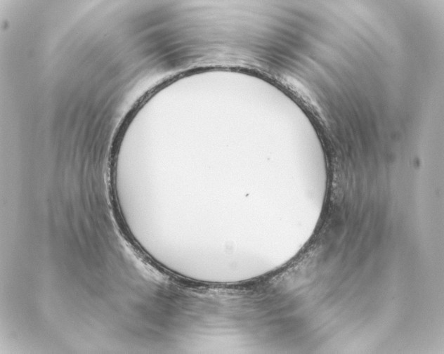 X0000088580942200706221313