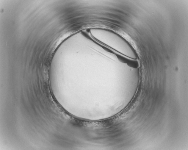 X0000088580945200706221313