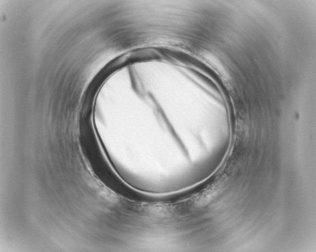 X0000088580948200706221313