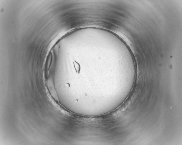 X0000088580949200706221313