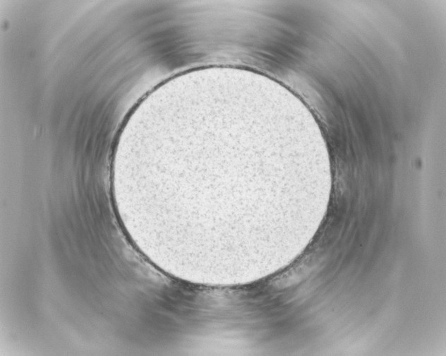 X0000088580950200706221313