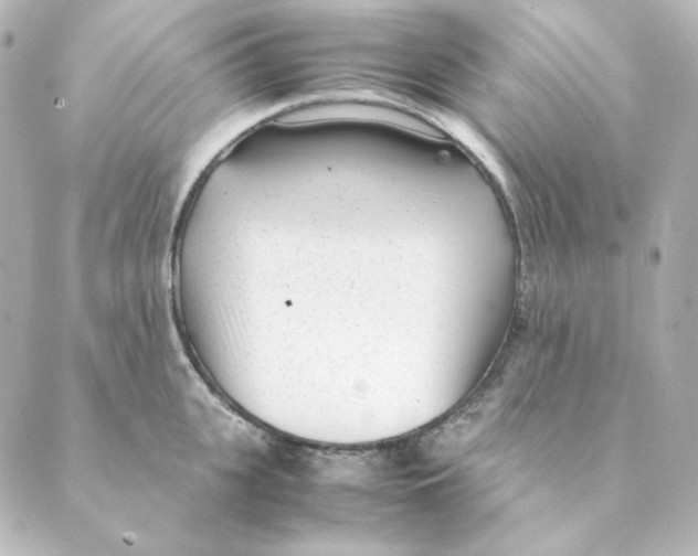 X0000088580951200706221313