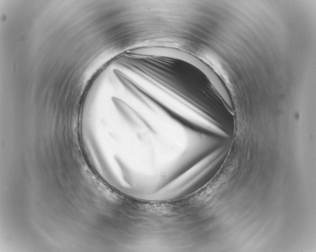 X0000088580952200706221313