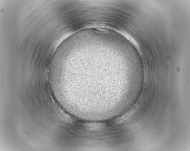 X0000088580953200706221313