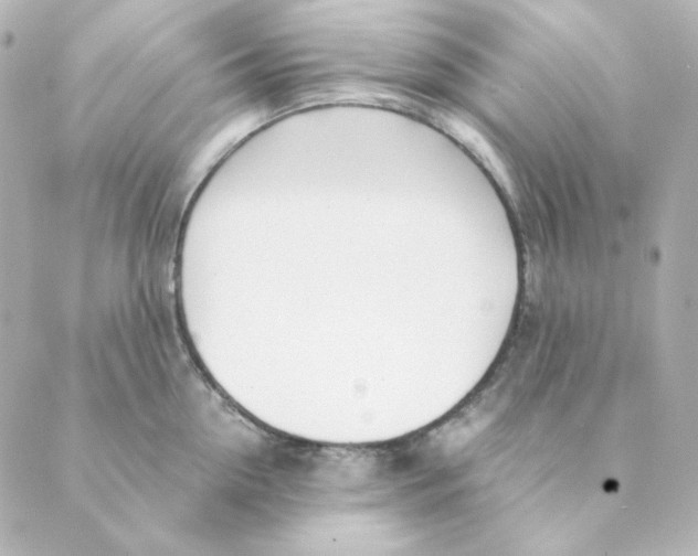 X0000088580954200706221313