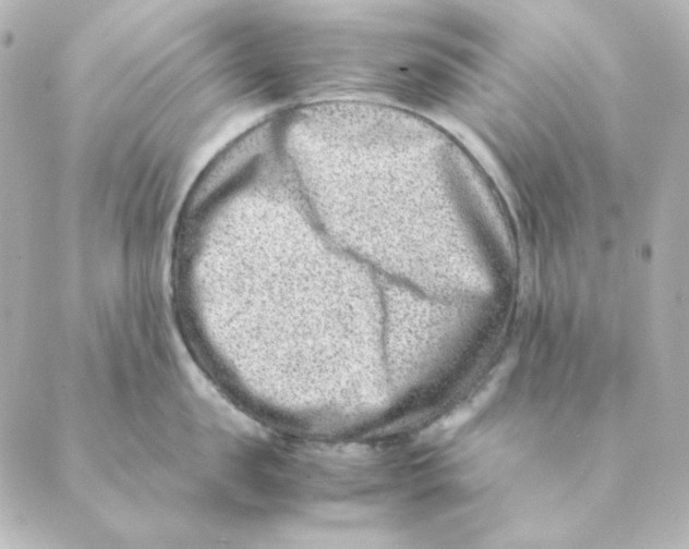 X0000088580957200706221313