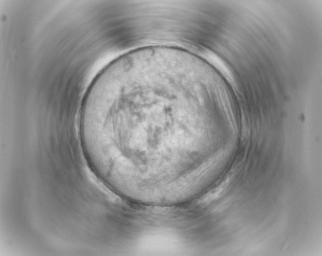 X0000088580958200706221313