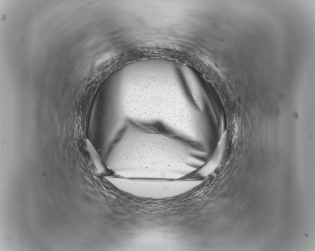 X0000088580965200706221312