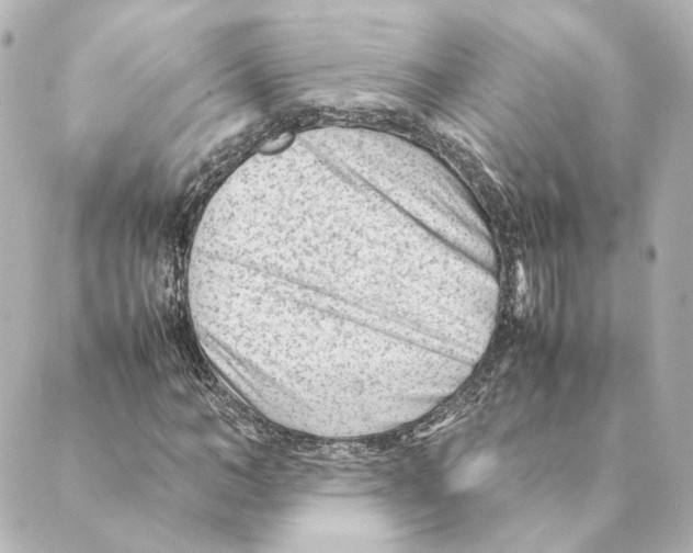 X0000088580966200706221312