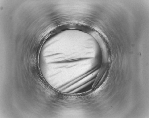 X0000088580969200706221312