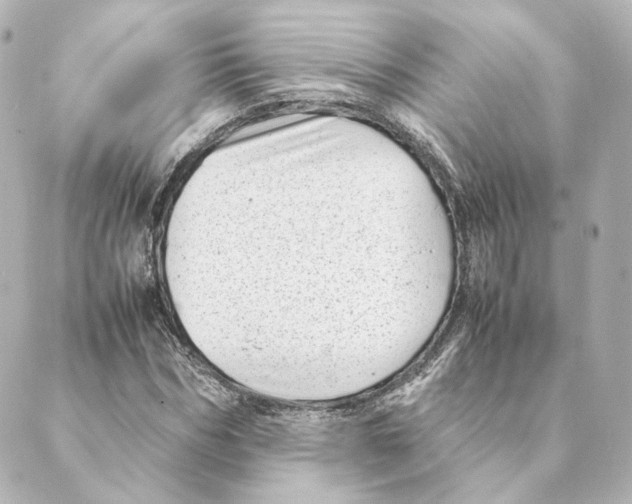 X0000088580970200706221312