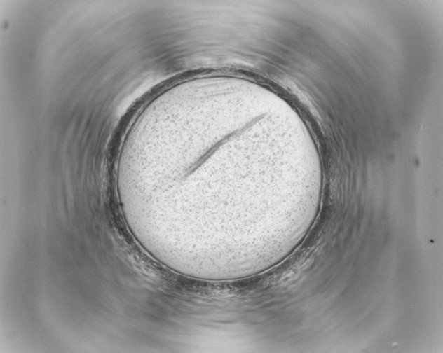 X0000088580975200706221312