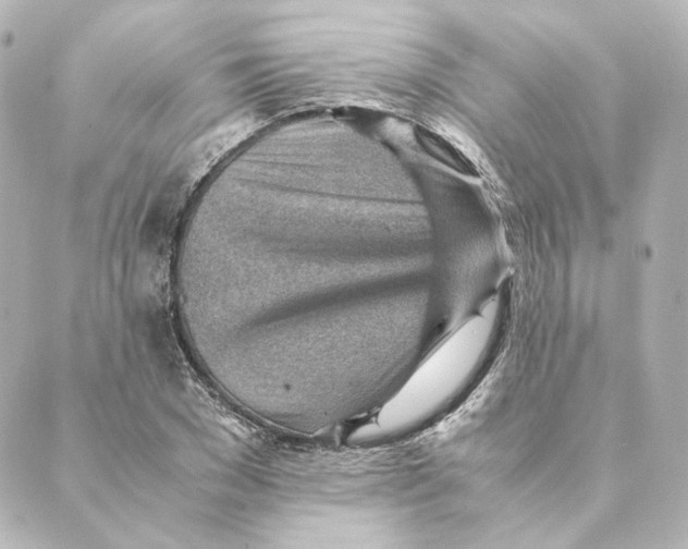 X0000088580977200706221312