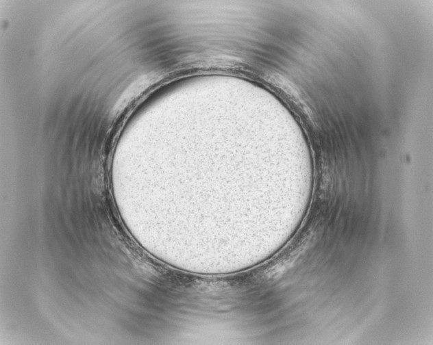 X0000088580978200706221312