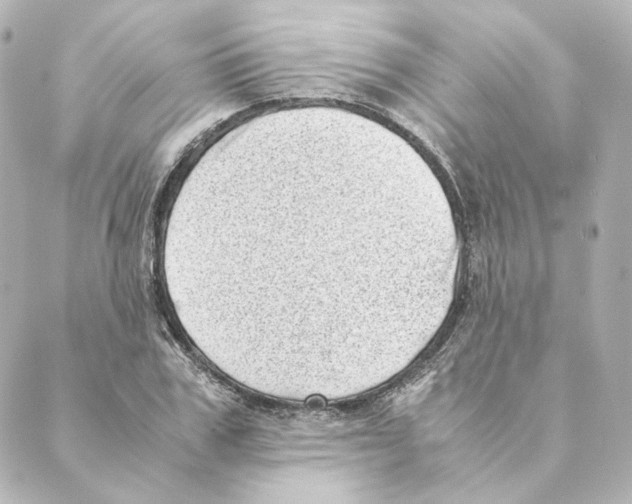 X0000088580979200706221312