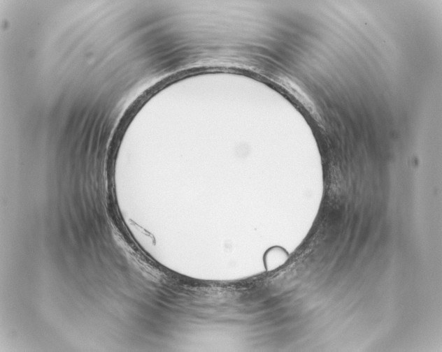 X0000088580980200706221312