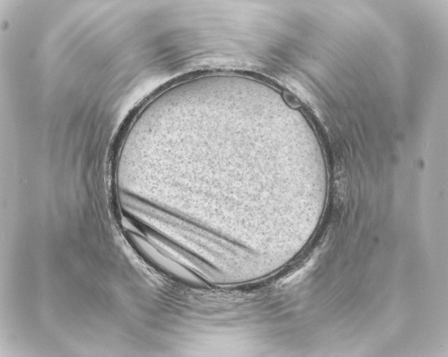 X0000088580981200706221312