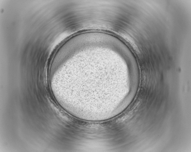 X0000088580982200706221312