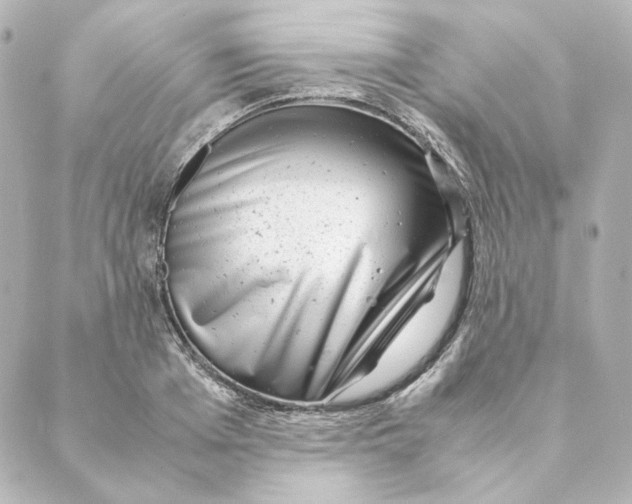 X0000088580985200706221312