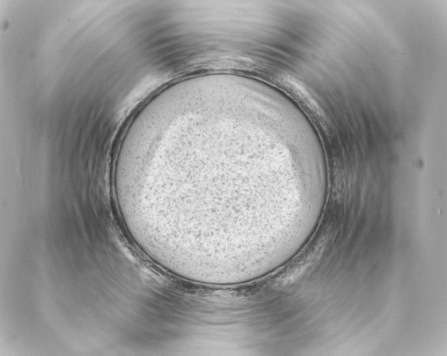 X0000088580986200706221312