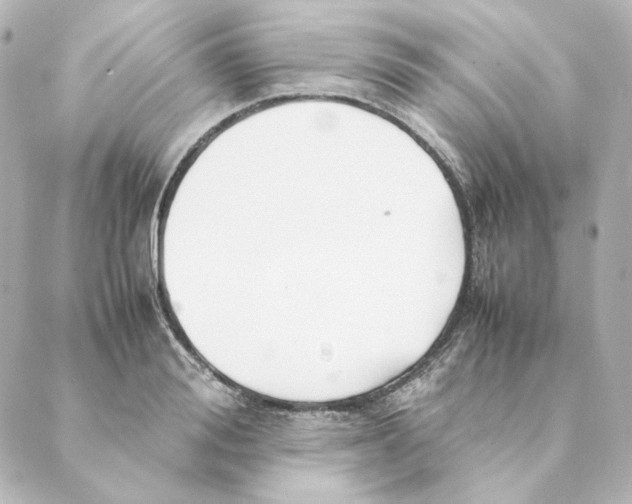 X0000088580988200706221312