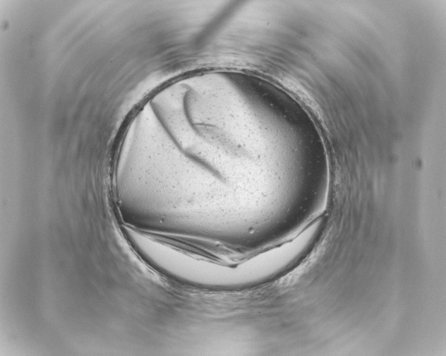 X0000088580989200706221312