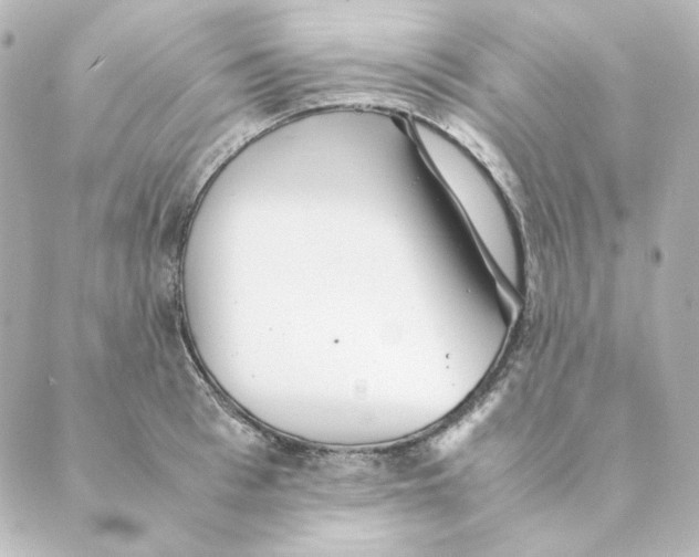 X0000088580993200706221312