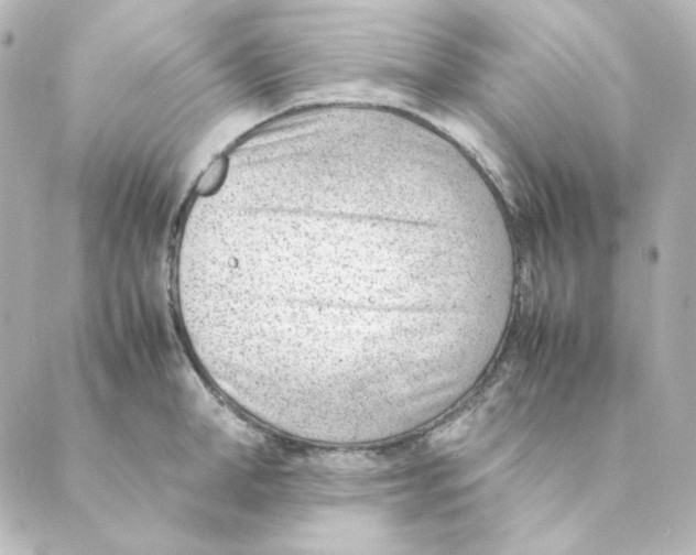 X0000088580998200706221311