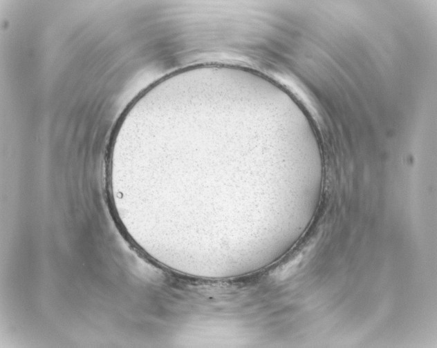 X0000088580999200706221311