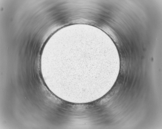 X0000088581000200706221311