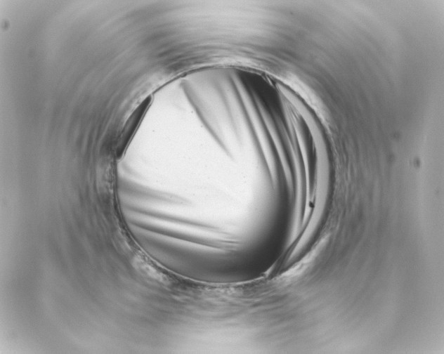 X0000088581001200706221311