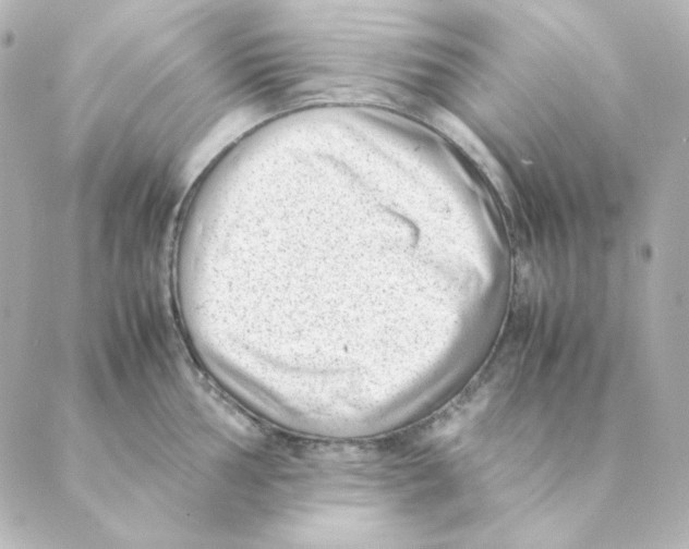 X0000088581002200706221311