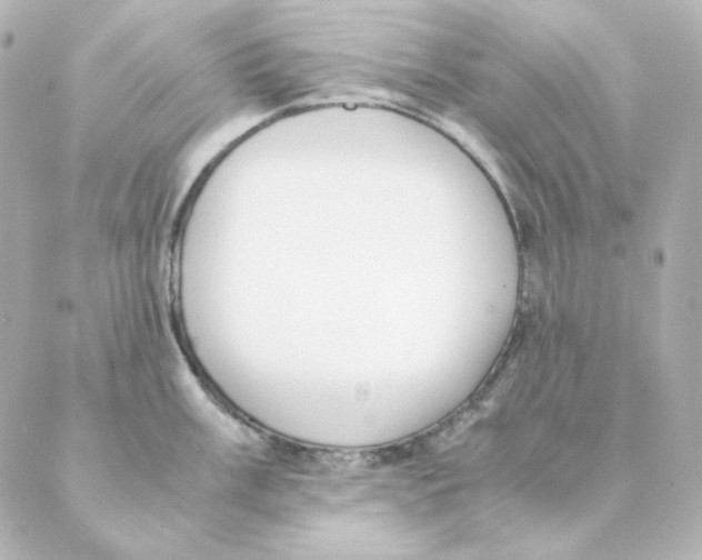 X0000088581003200706221311