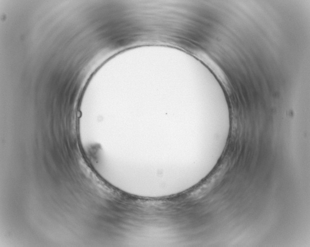 X0000088581004200706221311