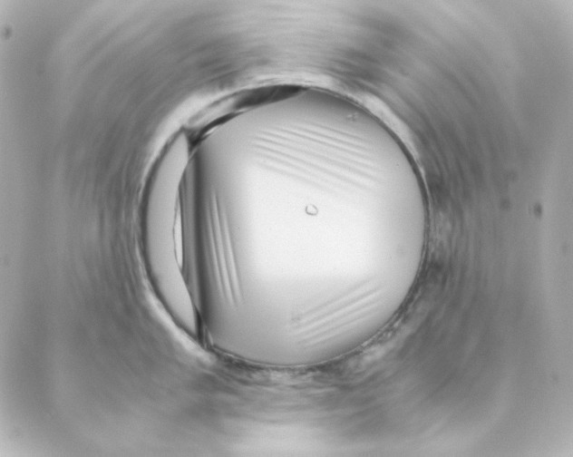 X0000088581005200706221311