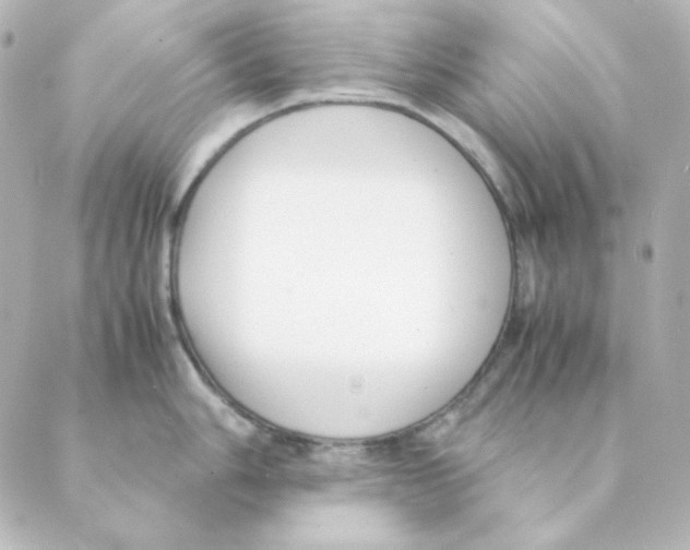 X0000088581006200706221311