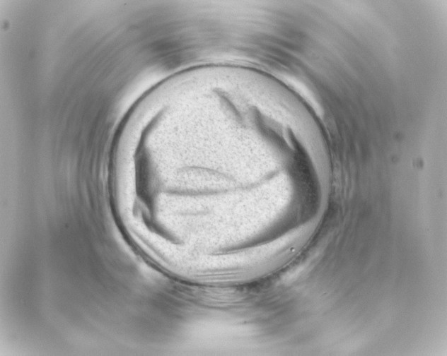 X0000088581007200706221311