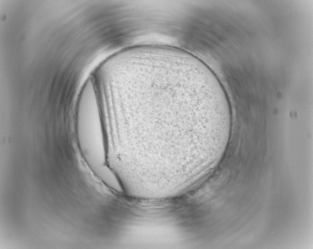 X0000088581008200706221311