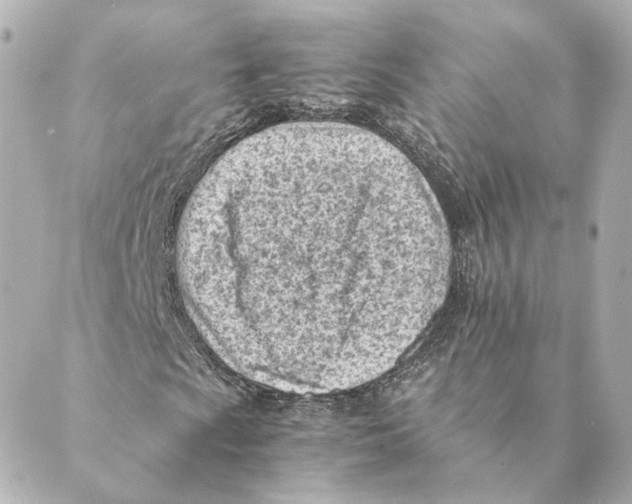 X0000088581009200706221311