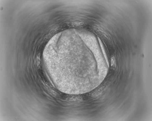 X0000088581011200706221311