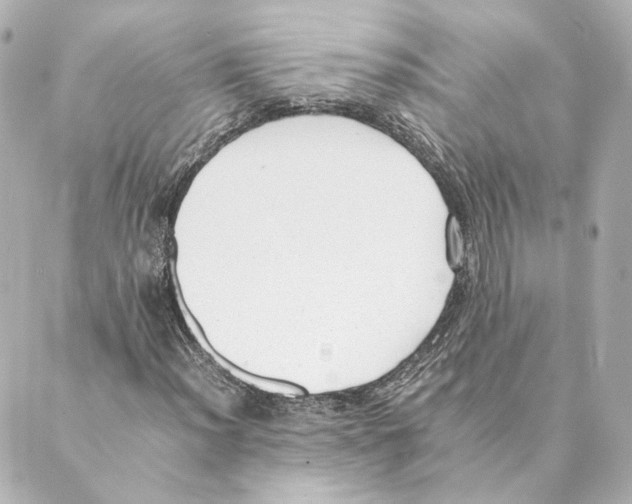 X0000088581012200706221311