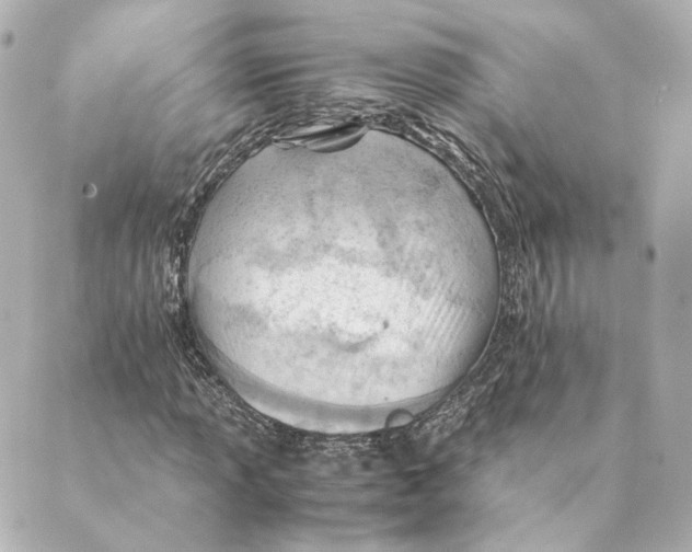 X0000088581013200706221311