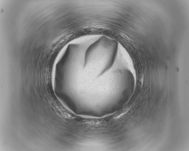 X0000088581014200706221311