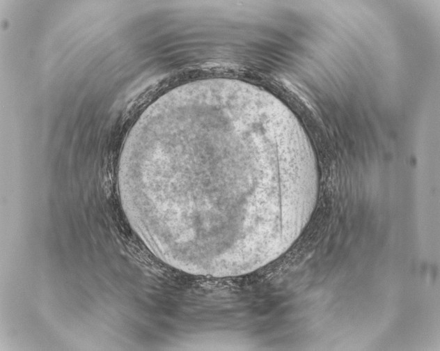 X0000088581015200706221311