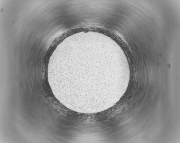 X0000088581016200706221311