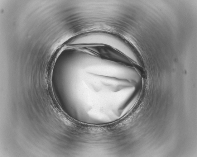 X0000088581018200706221311