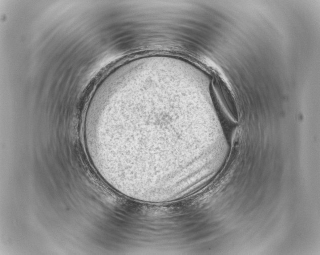 X0000088581019200706221311