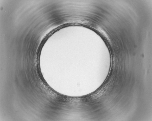 X0000088581020200706221311