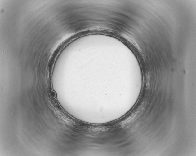 X0000088581021200706221311