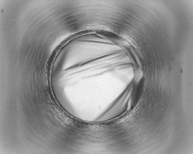 X0000088581022200706221311